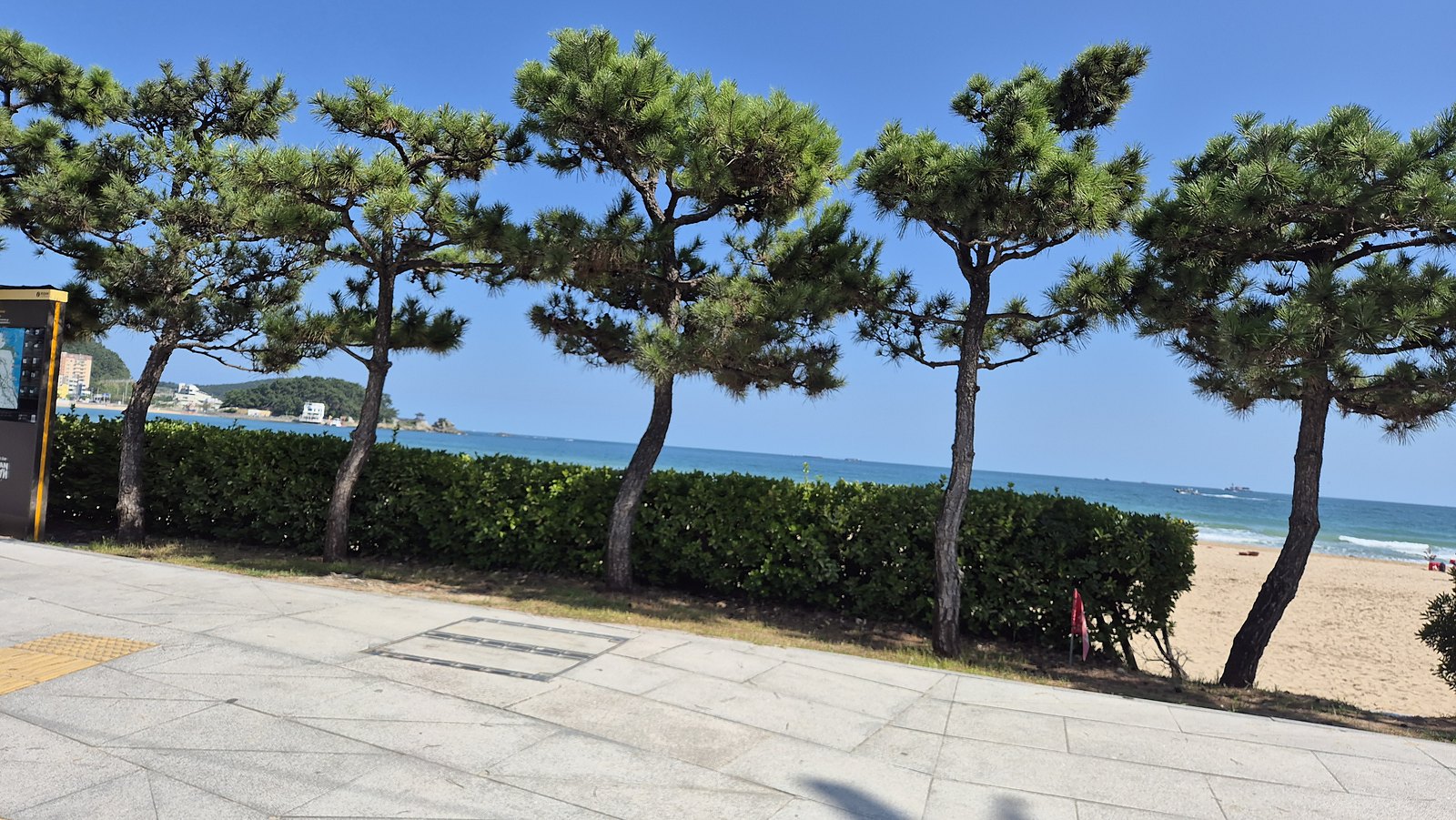 송정 해변 소나무길